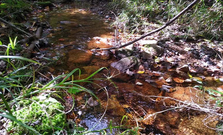 Des chercheurs en biologie du SRU étudient les effets du drainage minier acide sur les cours d’eau locaux