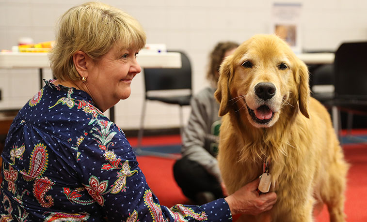 SRU's animal-assisted intervention programs gaining more than just  emotional support | Slippery Rock University