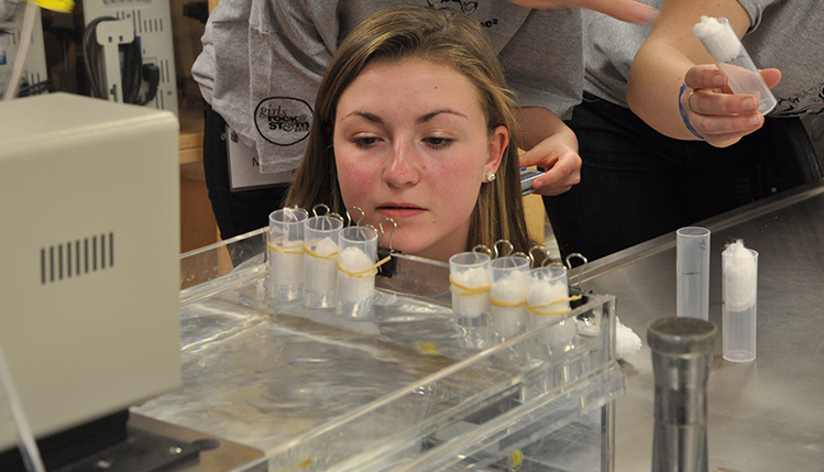 Students have access to top-rated laboratory facilities for learning and research.