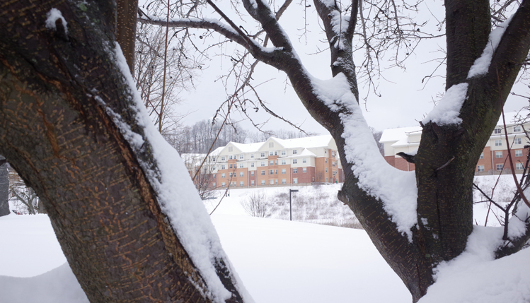 Trees covered in snow in front of residence halls