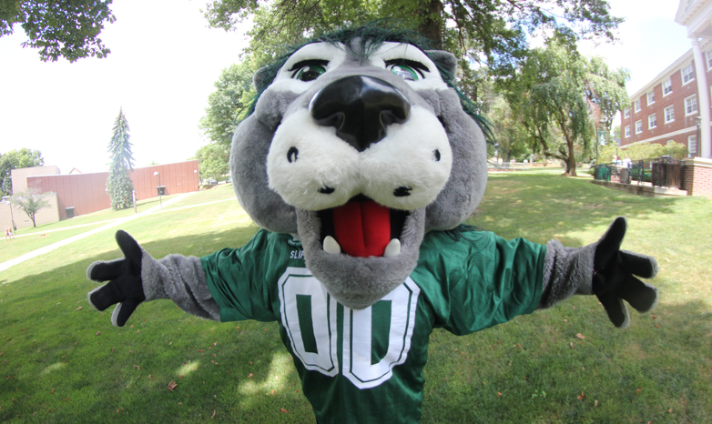 Rocky Makes Mascot Madness Championship Needs Your Vote To Defeat