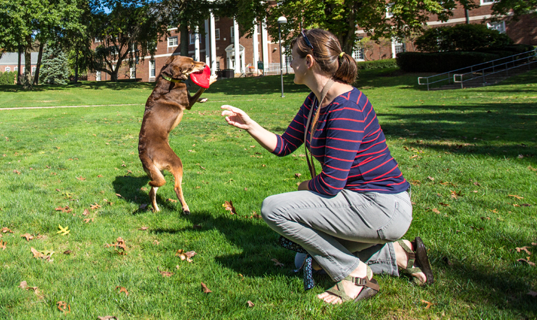 dog and owner playing frisbee