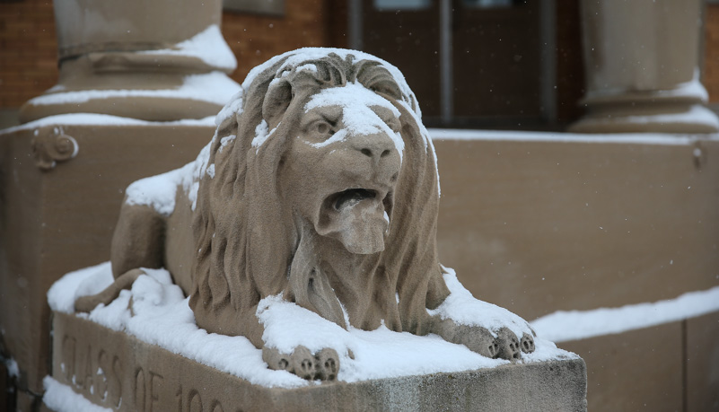 Lion Statue covered with snow