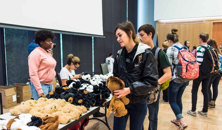Students collect stuffed animals