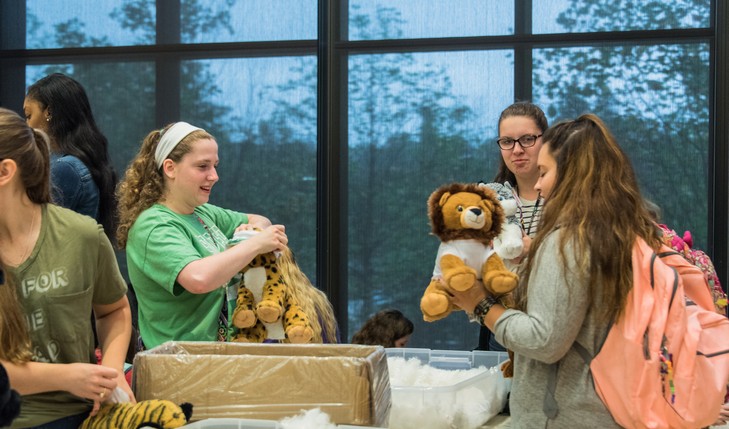 Students stuff a lion and tiger