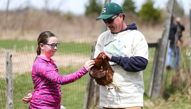 Man helps a girl with a chicken
