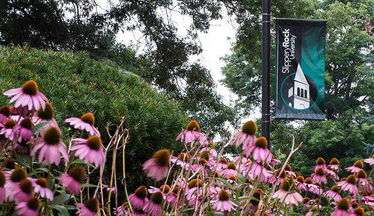 SRU banner and campus flowers in bloom