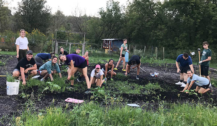 Food justice class at work in the garden