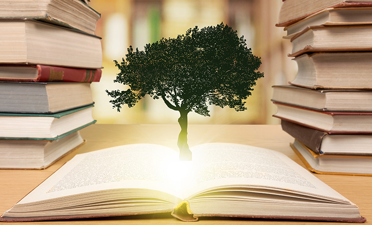 tree growing out of a book