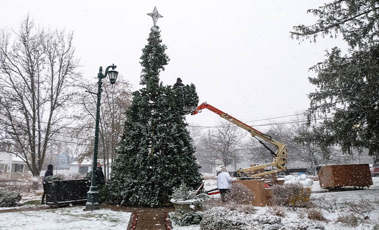 The tree being assembled