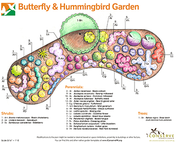 Jardin des papillons et des colibris