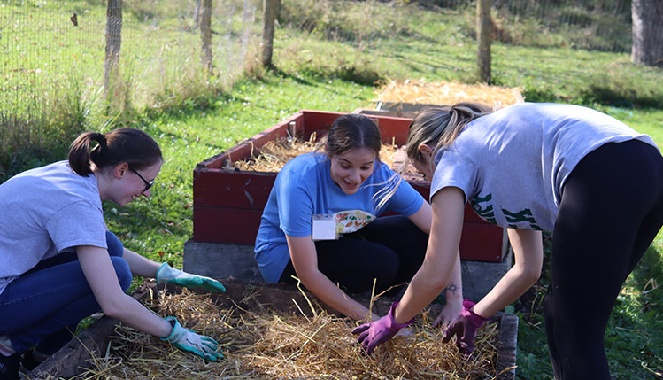 Students doing an outdoor project