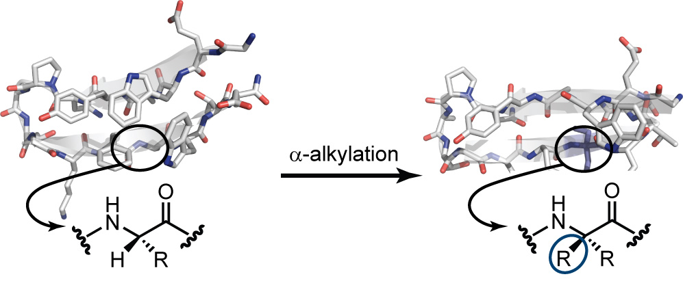 alkylation