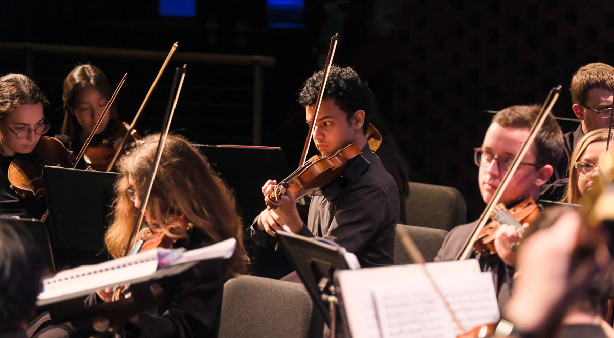 Violinists playing in a group