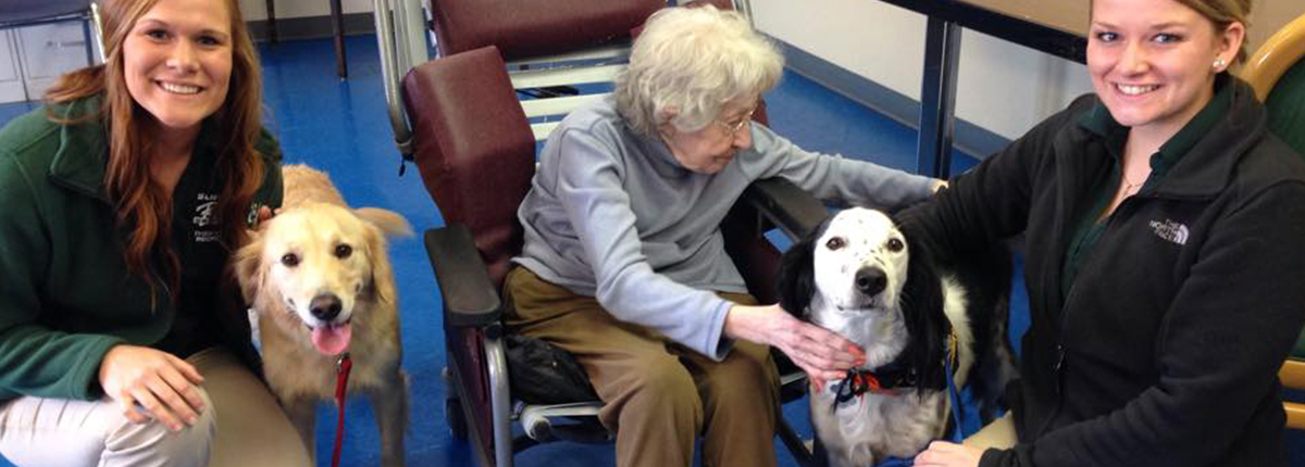 Students engaging animals and older adults