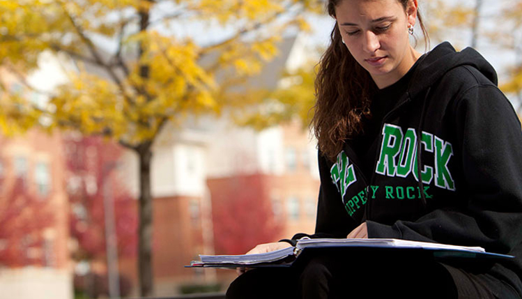 Student Studying