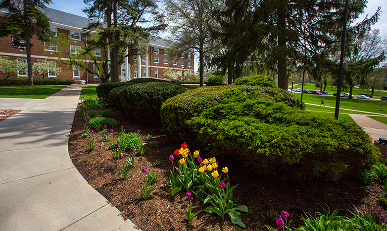 north hall in spring time with tulips
