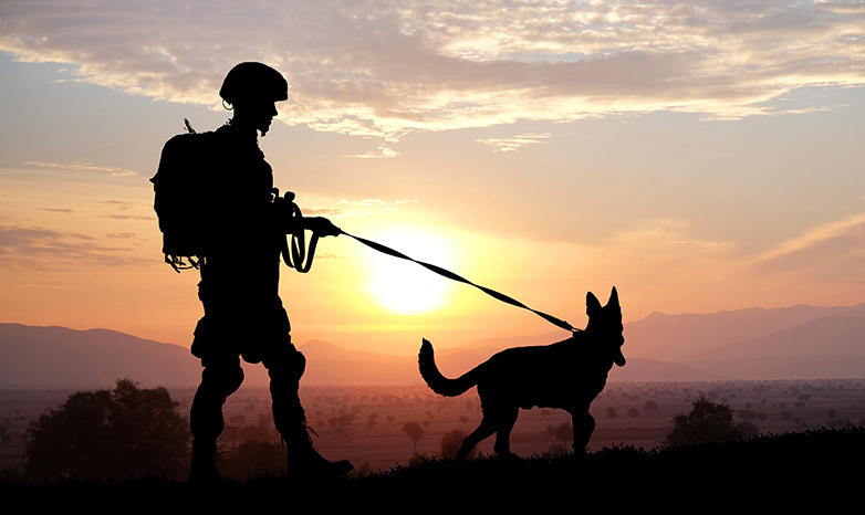 soldier and service dog