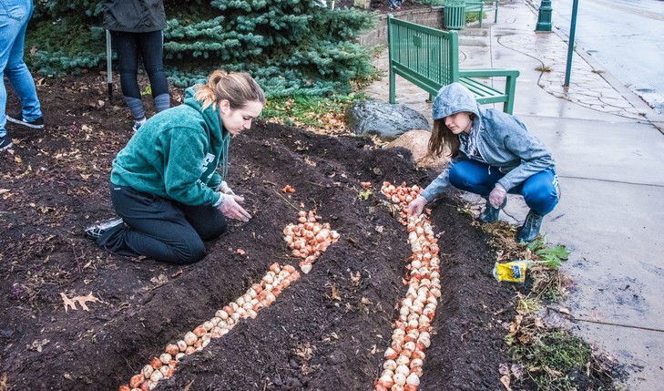 students planting tulips