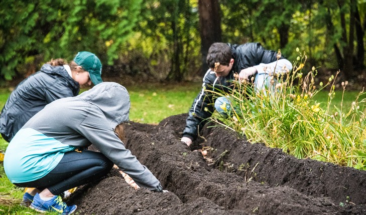 students placing tulips in dirt