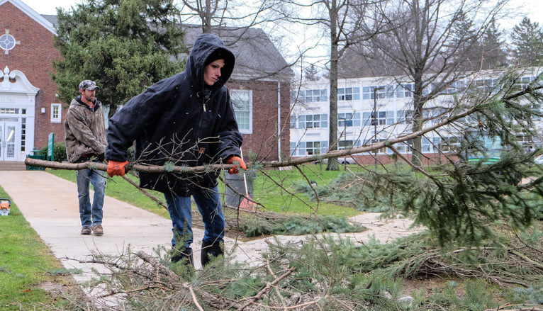 Workers cutting tree