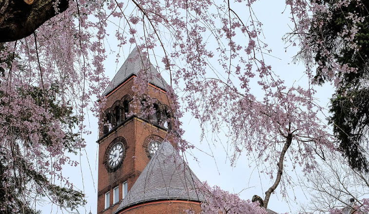 Old Main in spring