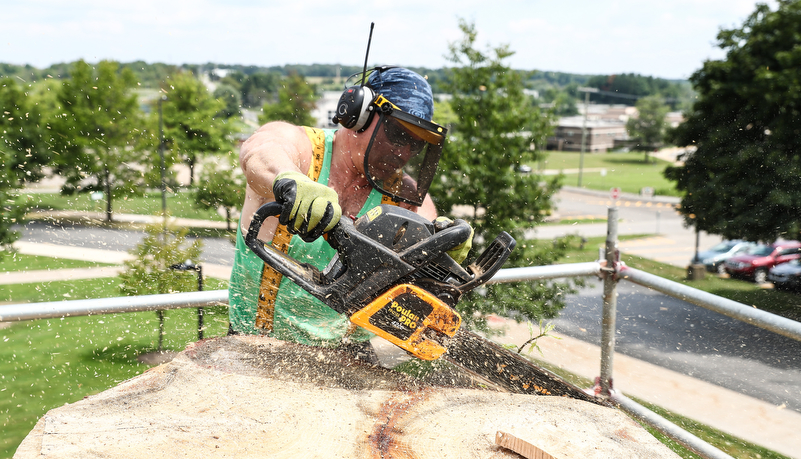 Professor carving a tree trunk