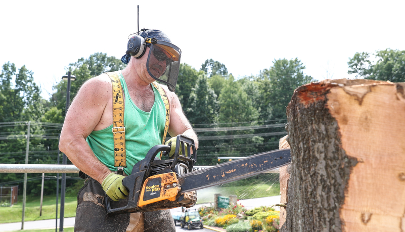 Professor carving a tree trunk