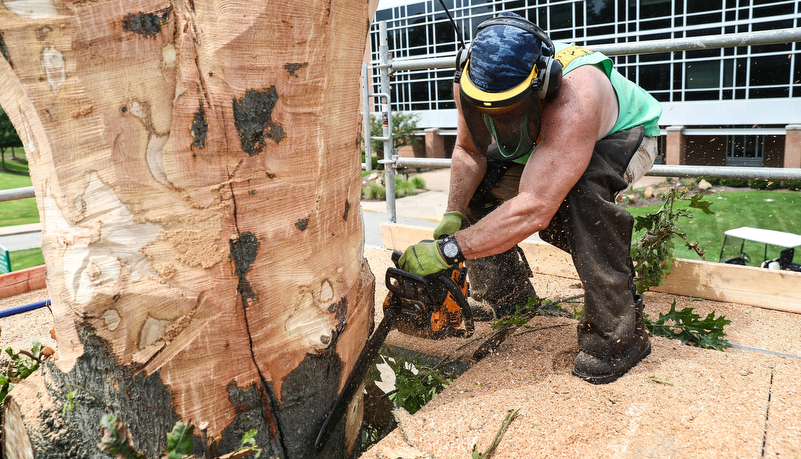 Professor carving a tree trunk