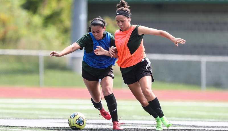 Woman playing soccer