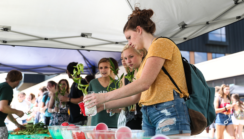 Students participating in activities