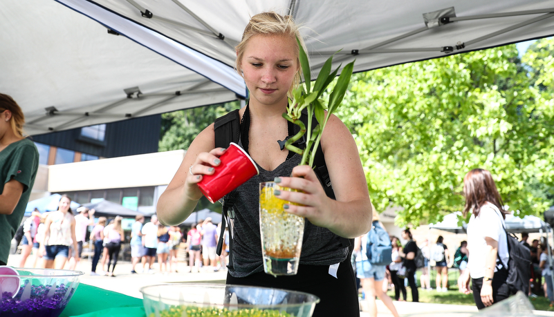 Students participating in activities