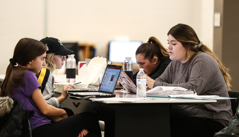 Students studying together