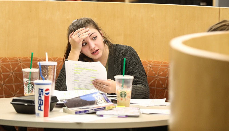 students studying in the library 