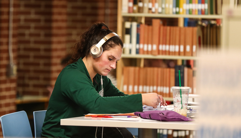 Woman reviewing material