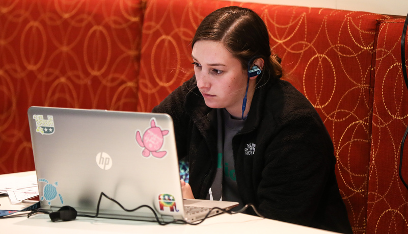 Woman reviewing material on a laptop