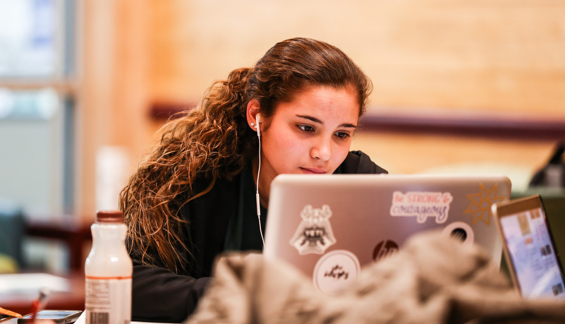 Woman reviewing material on a laptop