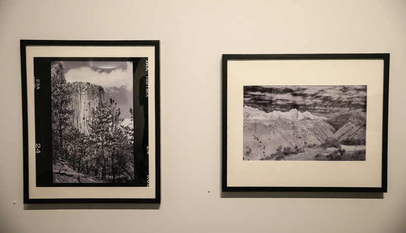 Art on display