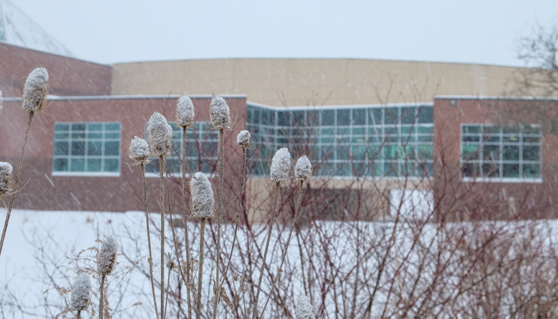 Arc in the snow