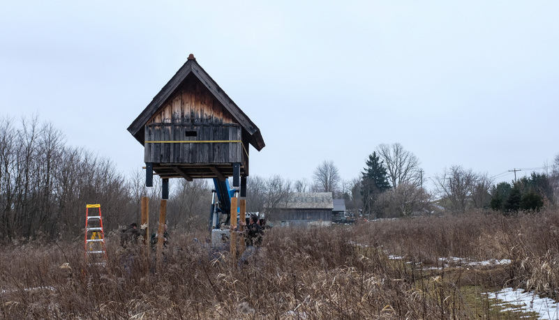 Bat House Relocation