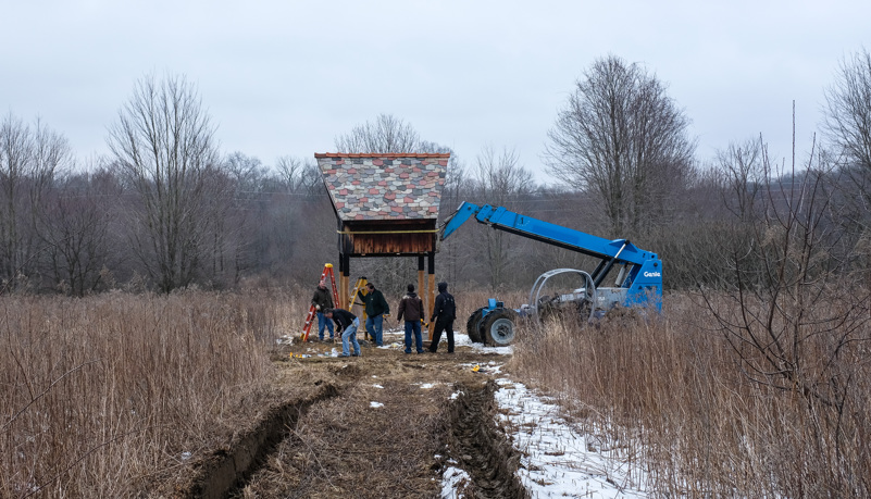 Bat House Relocation