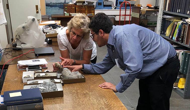 Man and woman looking at minerals