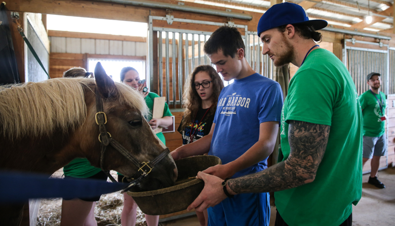 Campers with horses