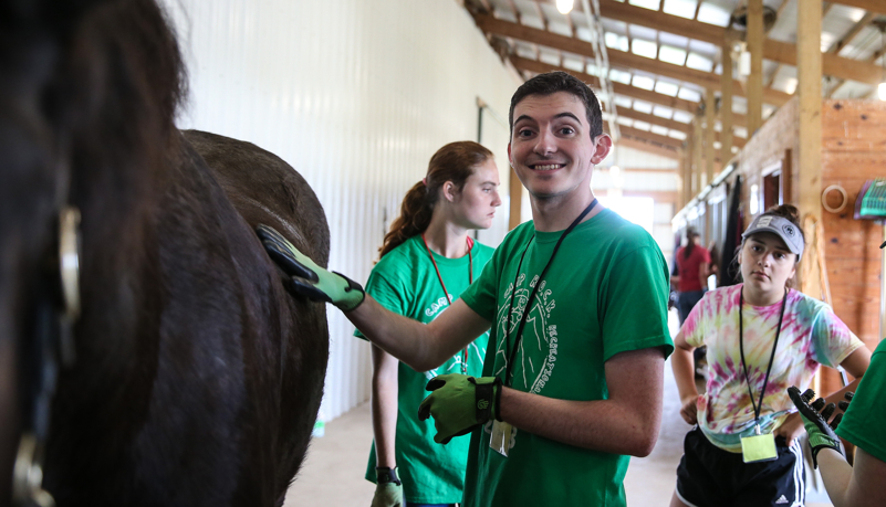 Campers with horses