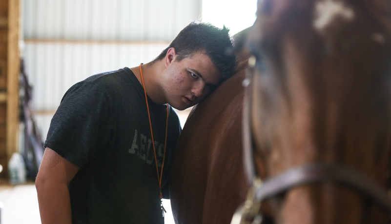 Campers with horses