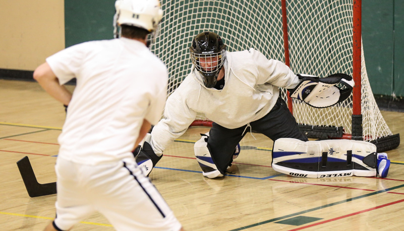 Hockey play takes a shot