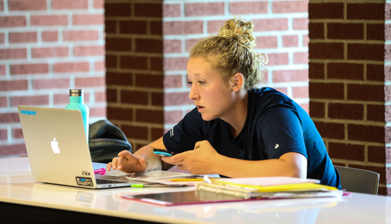 Students studying