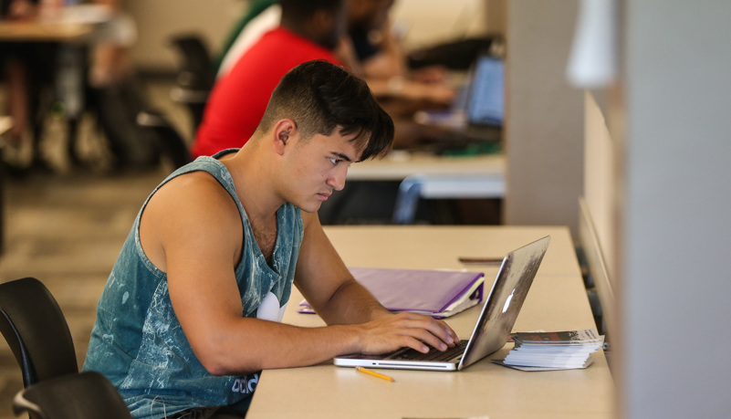 Students studying