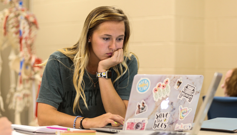 Students studying