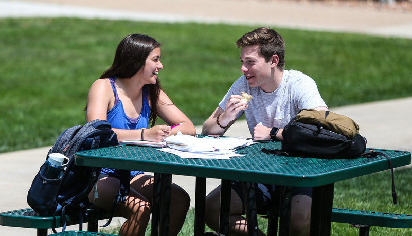 Students studying